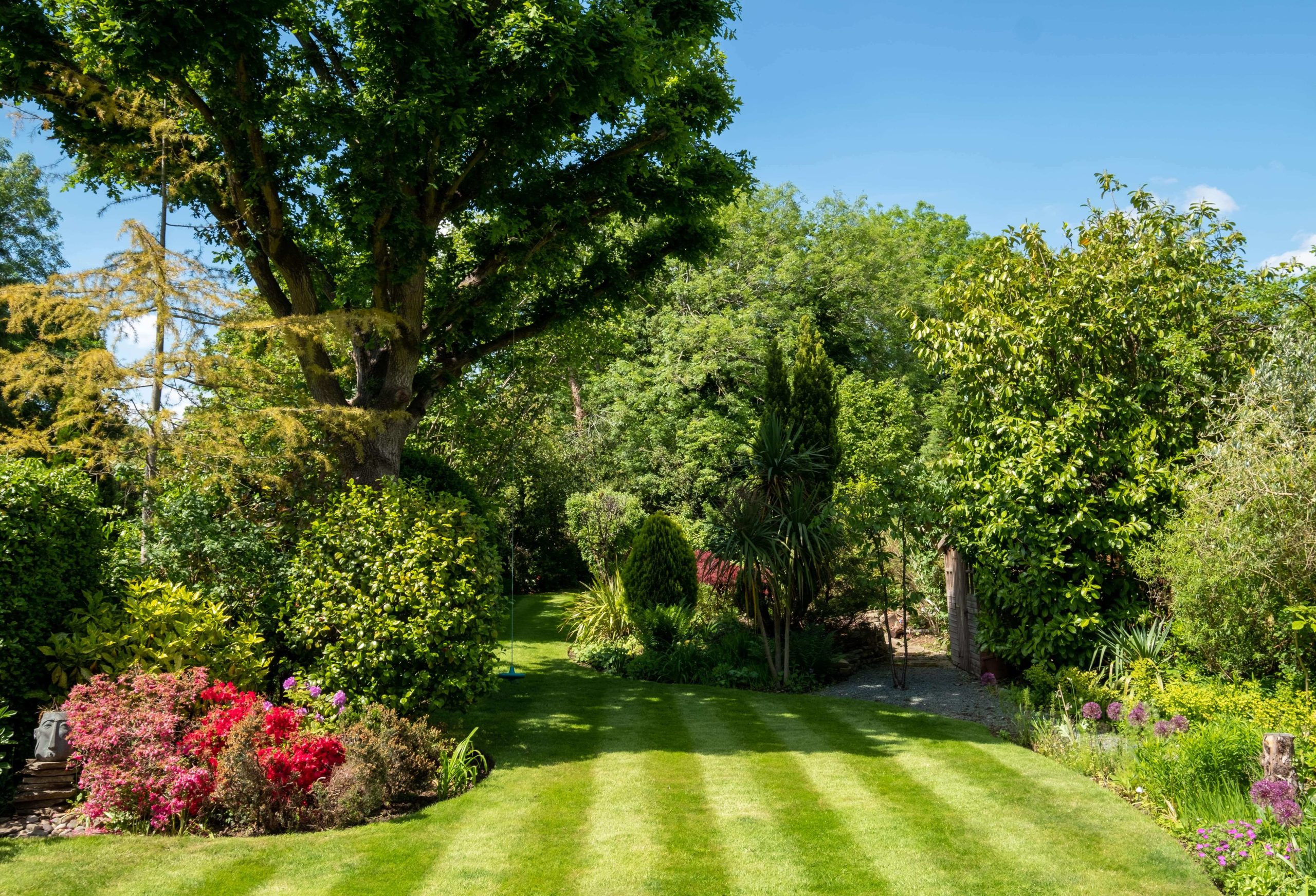 Garden Gardeners Eltham SE9/SE12