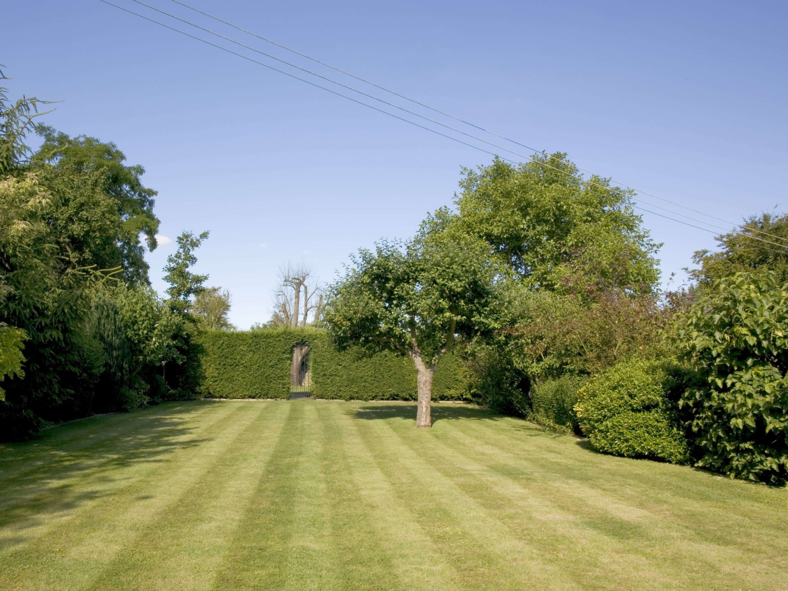 Lawn Mowing/Hedge Trimming Eltham SE9/SE12