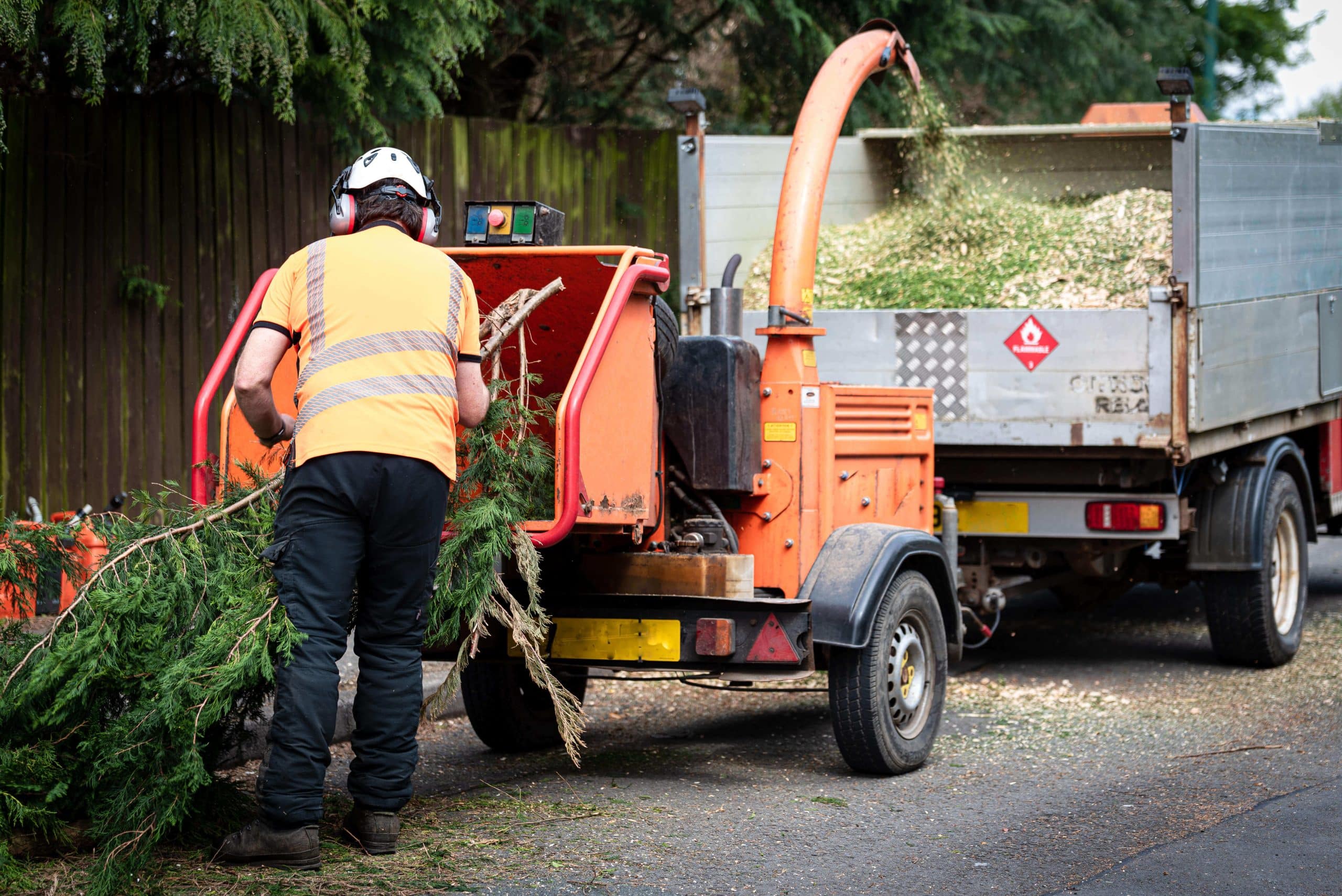 Tree Stump Grinding/Removal Eltham SE9/SE12